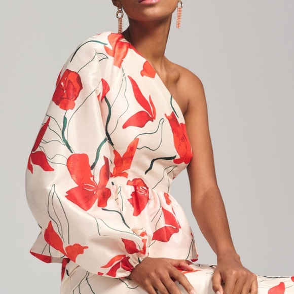 NWT Anthropologie Hutch One-Shoulder Floral Peplum Dress size 10 - Picture 4 of 11